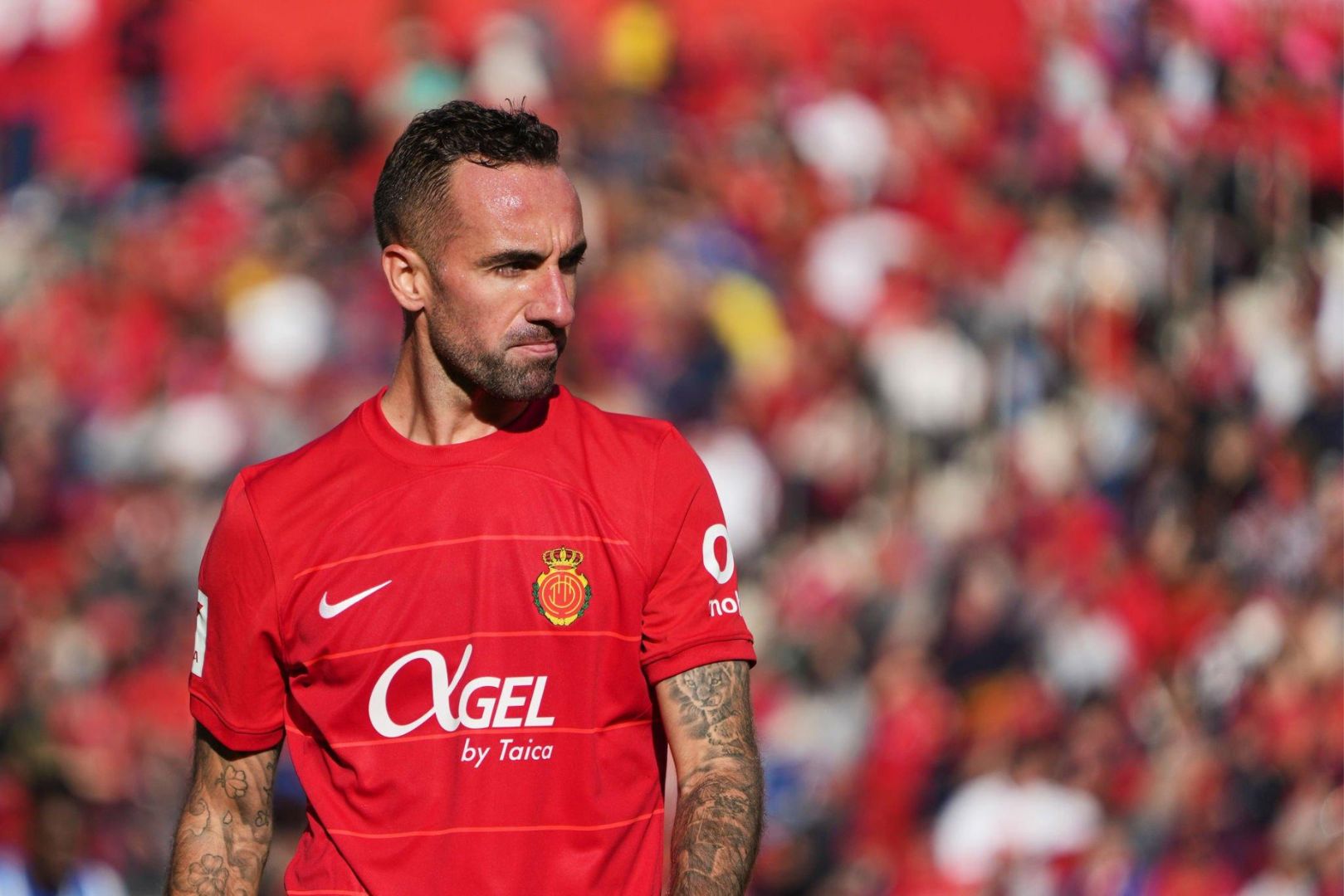 MALLORCA, SPAIN - DECEMBER 03: Sergi Darder of RCD Mallorca looks on during the LaLiga EA Sports match between RCD Mallorca and Deportivo Alaves at Estadi de Son Moix on December 03, 2023 in Mallorca, Spain.